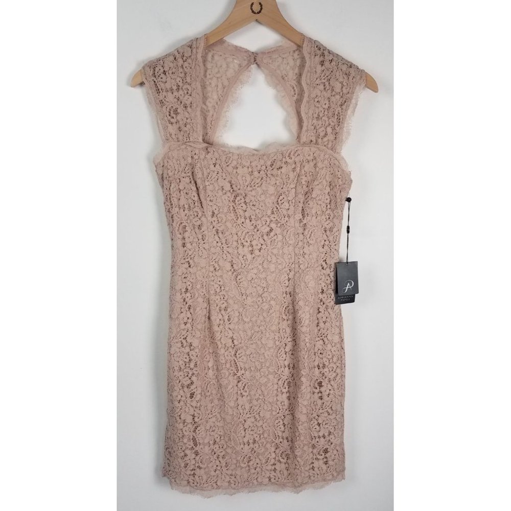 Adrianna Papell Lace Wedding Dress in Blush